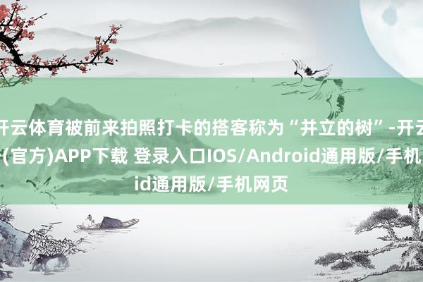 开云体育被前来拍照打卡的搭客称为“并立的树”-开云注册(官方)APP下载 登录入口IOS/Android通用版/手机网页