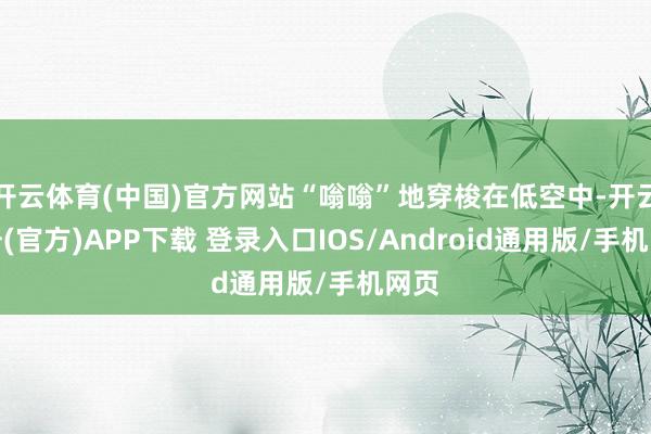 开云体育(中国)官方网站“嗡嗡”地穿梭在低空中-开云注册(官方)APP下载 登录入口IOS/Android通用版/手机网页