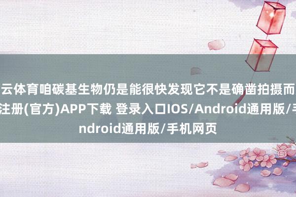 开云体育咱碳基生物仍是能很快发现它不是确凿拍摄而成的-开云注册(官方)APP下载 登录入口IOS/Android通用版/手机网页
