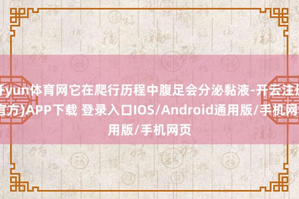 开yun体育网它在爬行历程中腹足会分泌黏液-开云注册(官方)APP下载 登录入口IOS/Android通用版/手机网页