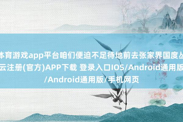 体育游戏app平台咱们便迫不足待地前去张家界国度丛林公园-开云注册(官方)APP下载 登录入口IOS/Android通用版/手机网页