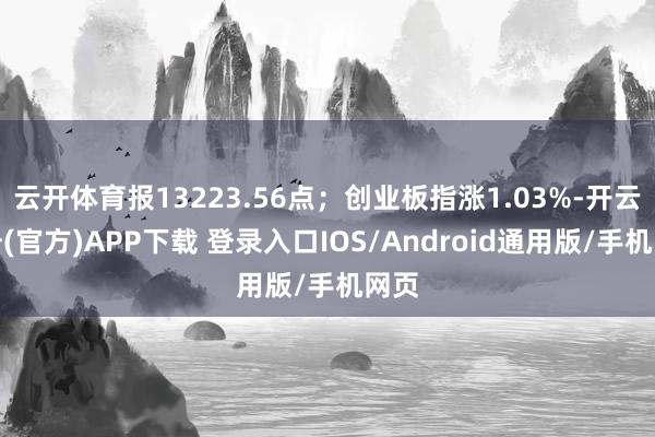 云开体育报13223.56点；创业板指涨1.03%-开云注册(官方)APP下载 登录入口IOS/Android通用版/手机网页