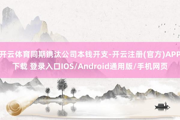 开云体育同期镌汰公司本钱开支-开云注册(官方)APP下载 登录入口IOS/Android通用版/手机网页