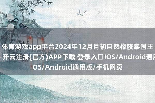 体育游戏app平台2024年12月月初自然橡胶泰国主产区抓续降雨-开云注册(官方)APP下载 登录入口IOS/Android通用版/手机网页
