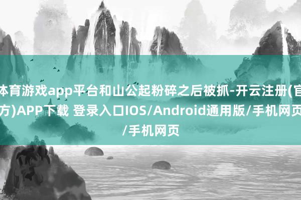 体育游戏app平台和山公起粉碎之后被抓-开云注册(官方)APP下载 登录入口IOS/Android通用版/手机网页